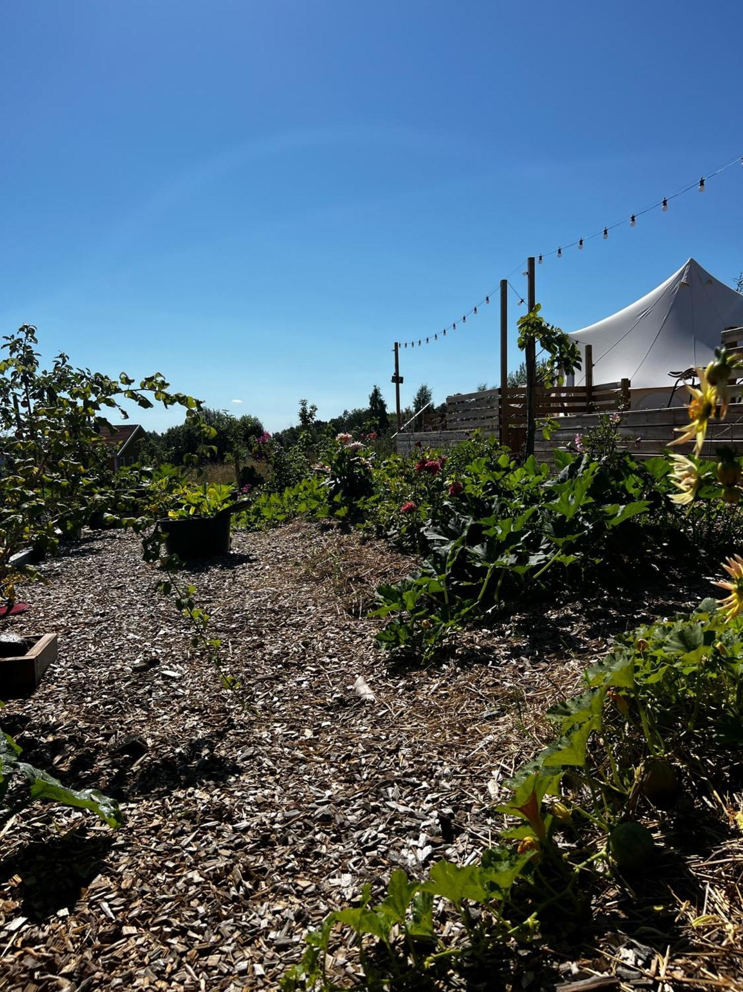 Vaettervy Glamping Hotel Habo Exterior photo